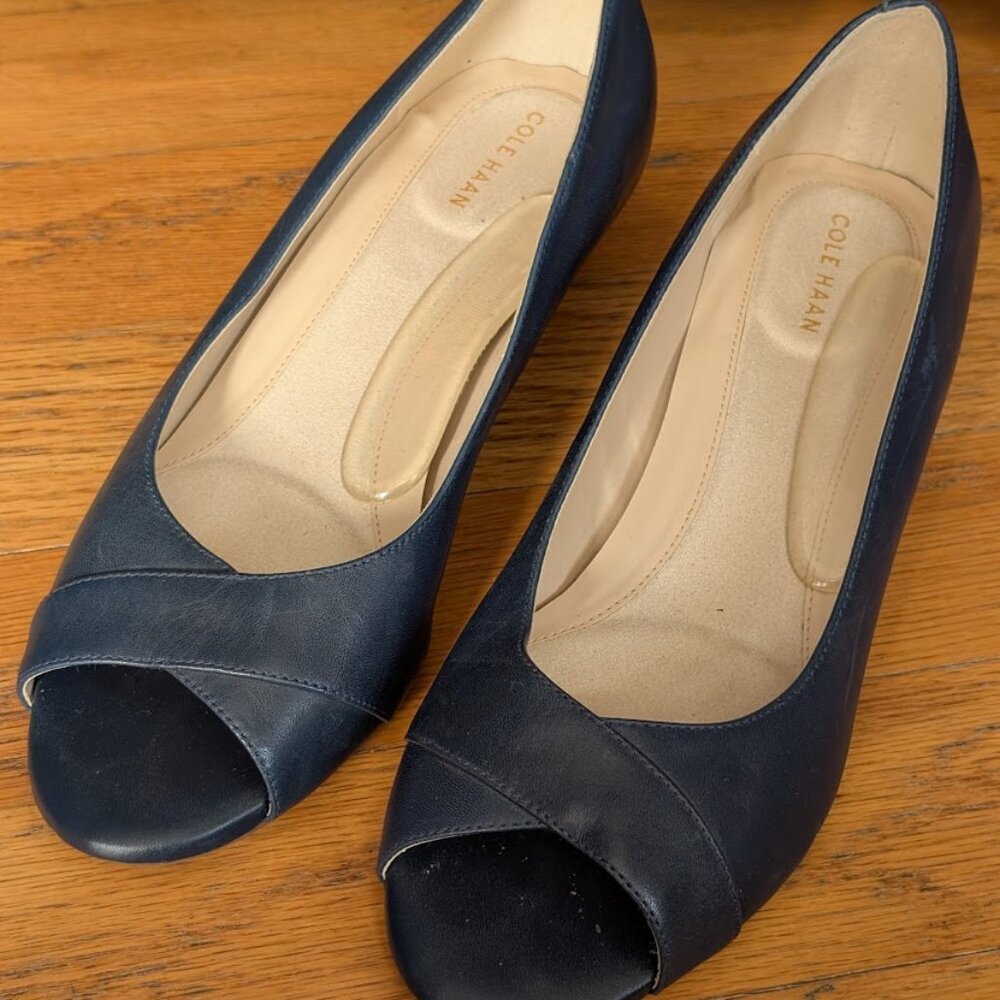 Cole Haan Blue Wedge Heels (W17902)